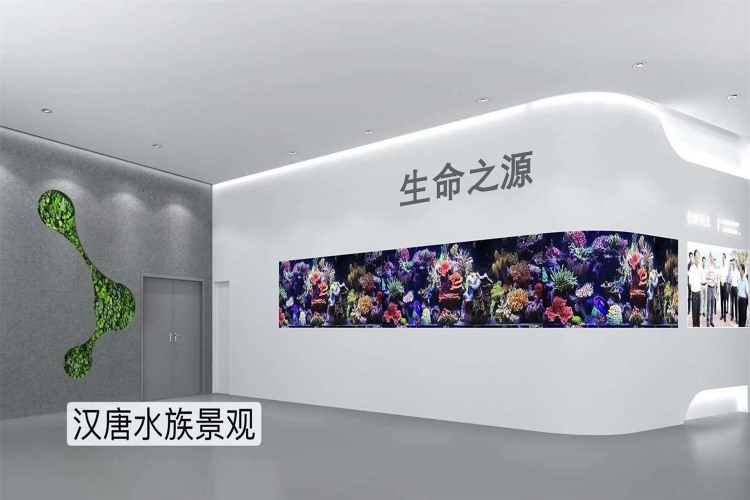 深圳坝光国际生物谷亚克力海水鱼缸项目